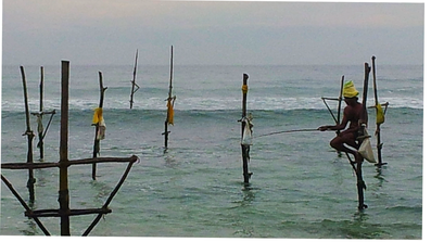 Sri Lanka fishing man Rundreise