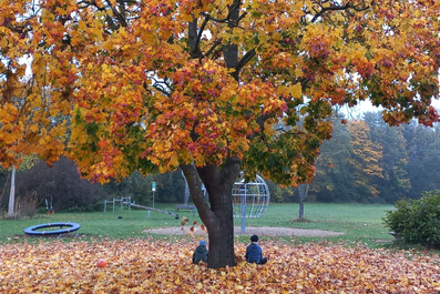 Zwei Kinder sitzen unter einem Baum auf dem Spielplatz, es ist Herbst und der Boden ist voll mit Laub