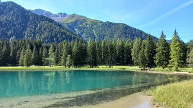 Antholzer See mit Bäumen und Bergen im Hintergrund