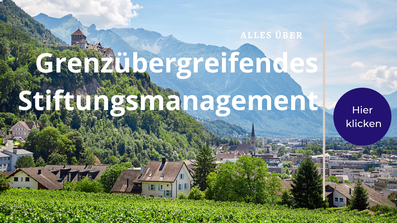 Rechtsanwalt und Steuerberater Thorsten Klinkner berät Sie bei der Gründung Ihrer Familienstiftung in Deutschland und Liechtenstein.