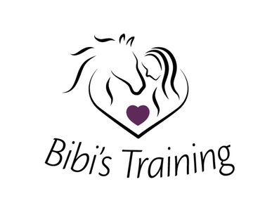 bibistrainings Webseite!