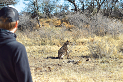 2 Wochen in Namibia - Deine ultimative Reiseroute