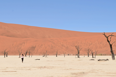 2 Wochen in Namibia - Deine ultimative Reiseroute