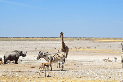 2 Wochen in Namibia - Deine ultimative Reiseroute