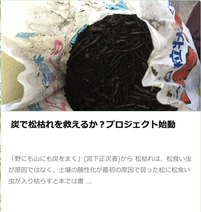 #松枯れ　#女松の会投稿
