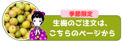 愛媛県砥部町七折 小笠原梅園 - 小笠原梅園