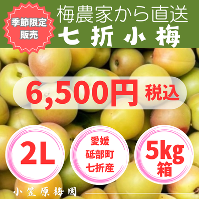 生梅の注文 - 小笠原梅園