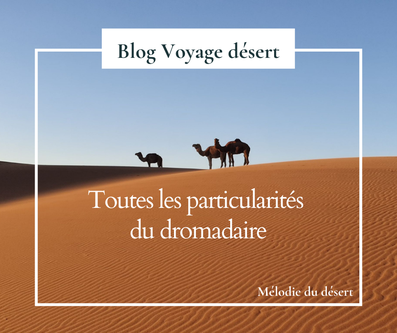 Blog voyage désert