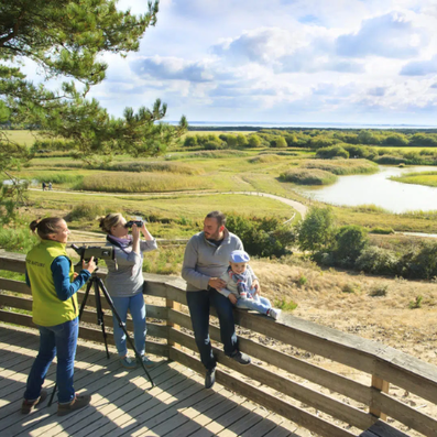 parc-ornithologique-du-marquenterre-Saint-Quentin-en-Tourmont-visite-incontournable-baie-de-somme