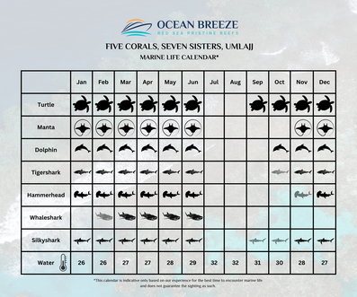 Five Corals & Seven Sisters Saudi Arabien
