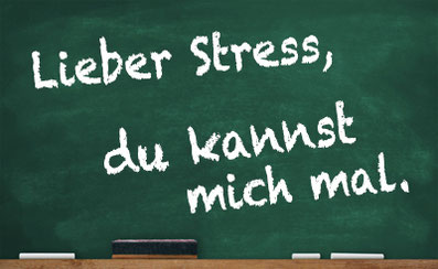 Stressmanagement-Seminar: Lieber Stress, du kannst mich mal. Begegnung & Gespräch