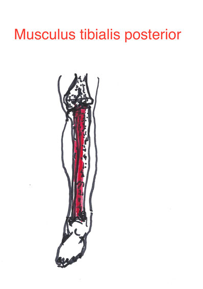 Dirk Gahlenbeck Arzt und Osteopath