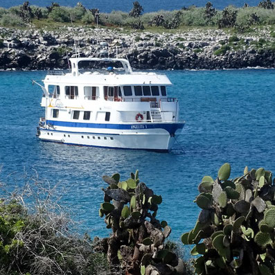 Corona Pandemie Reisen Galapagos Inseln