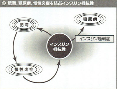 「青魚を食べれば病気にならない」より
