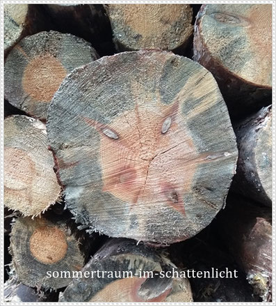 Grimmiges Baumgesicht, Grimasse,  gefällt, Baumstamm, Säge, Schnittfläche, SommerTraum im SchattenLicht, Foto Urheber Nicole Krutzinna-Hilger