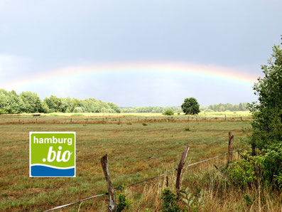 Weiden mit Regenbogen und Logo von hamburg.bio
