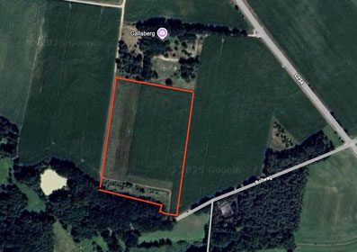 Auf dem Google-Maps-Ausschnitt ist der Salzhäuser Gallaberg und Umgebung zu sehen; die Ausgleichsfläche ist rot umrandet