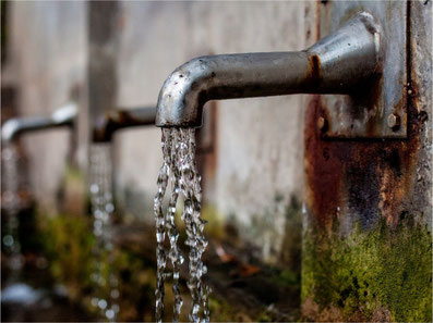 Pestizid-belastetes Wasser auch in Gossau ZH (Symbolbild)