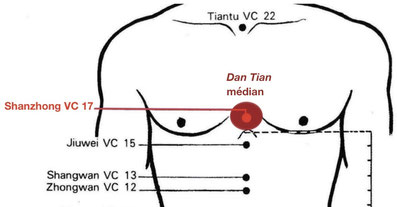Fig. 3 - Représentation du Dān Tián moyen