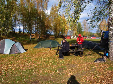 Dogtrekking Dogtrekking Dogtrekking Elbsandstein-Dogtrekking ESDT Harz-Dogtrekking