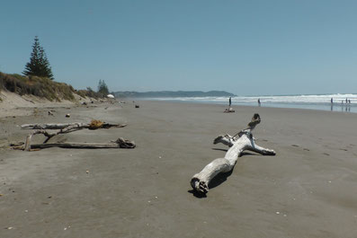 Strand bei Ohope
