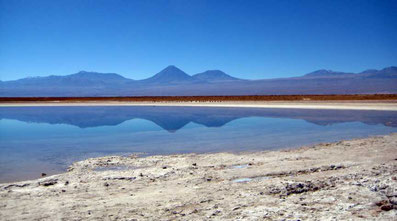 - Laguna Cejar / San Pedro de Atacama -