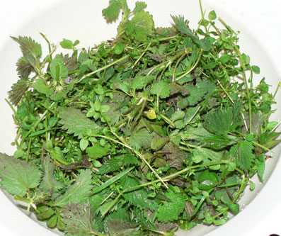 gemischte Wildkräuter