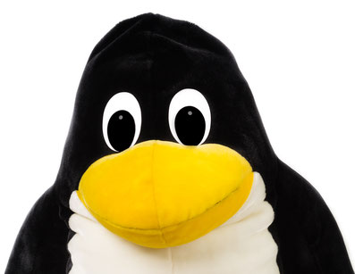 abasoft EVA Praxissoftware Linux Tux