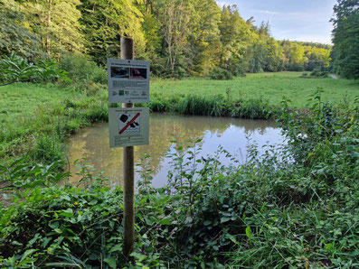 Das neu angelegte Gewässer im September 2023 mit Hinweisschild, dass zum Schutz der Amphibien keine Fische eingesetzt werden dürfen.