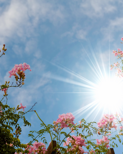 Damit die Sonne wieder scheint.