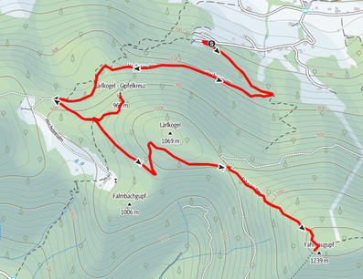 Farnaugupf, Lärlkogel Wanderung