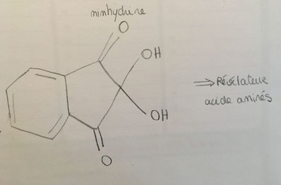 Formule topologique du ninhydrine (2,2-dihydroxy-1,3-indanedione) 