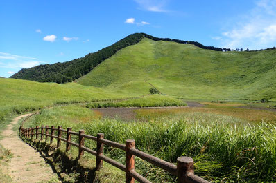 お亀池(湿地)もだいぶ乾いてしまっていました.右方の稜線沿いに室生火砕流堆積物(溶結凝灰岩)が露出していました.