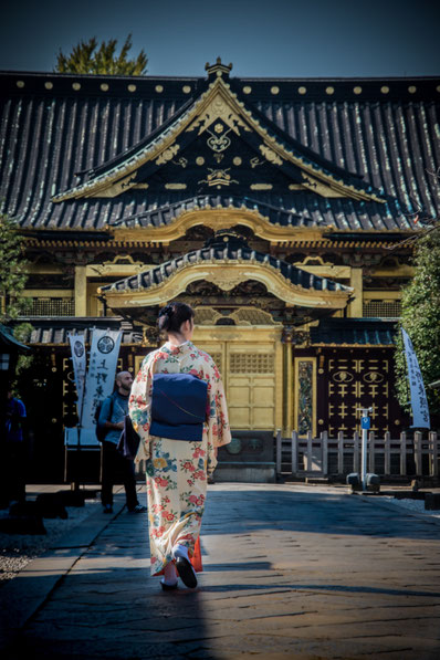 Il Santuario Toshogu al Parco di Ueno