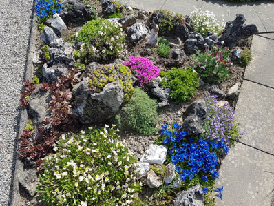 gartenfreunde-baienfurts Webseite!