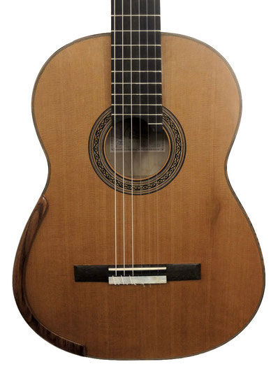 Jean-Marie Fouilleul 2016 Guitare C9-12 