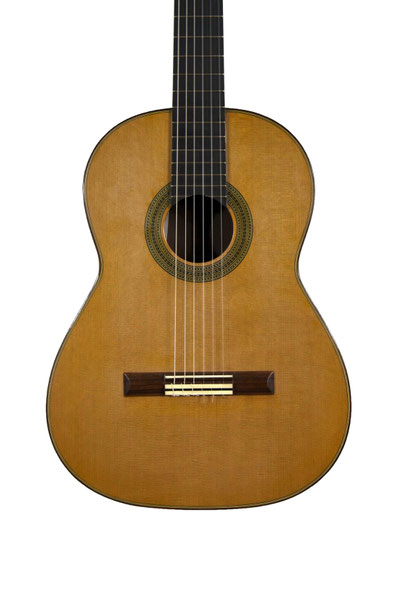 Guitare classique de concert José Miguel Vega