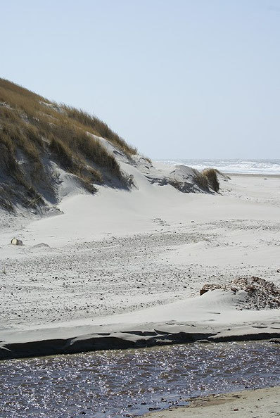 Børsmose Strand