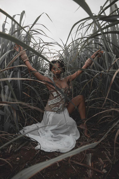 Collection Roots. (Photo : _dtc_project)
