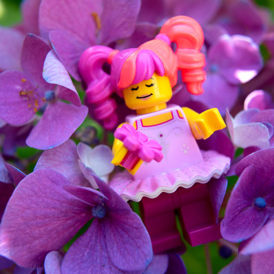 Legofigur liegt auf Hortensie, lila, genießt Blütenduft