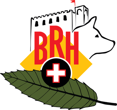 BRH-RHS-Mittelpfalz Logo