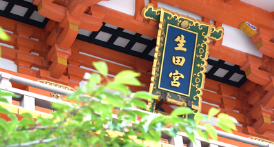 大阪、京都、神戸での結婚式持ち込みカメラマンは結婚式moviesへ。エンドロール、プロフィール、オープニング映像もお任せください。