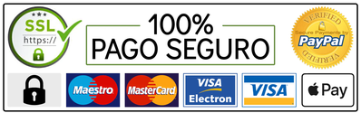 pago seguro