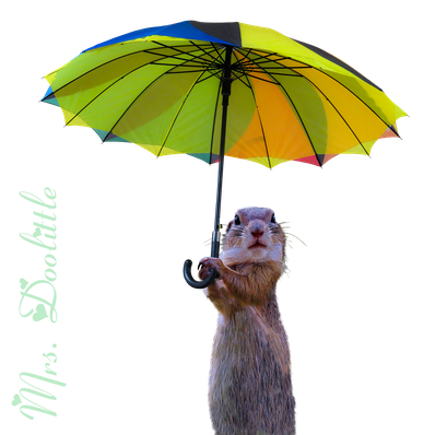 Mrs. Doolittle, Tierbetreuung Wedemark, Katzenbetreuung Wedemark, Cat-Sitting Wedemark, Catsitting Wedemark, Reiki für Tiere, Quantenheilung für Tiere, Dog-Sitting Wedemark, Kleintierbetreuung Wedemark,