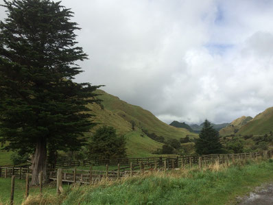 Sur la route de Gisborne