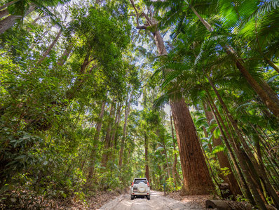 begleitete Wohnmobilreisen Australien