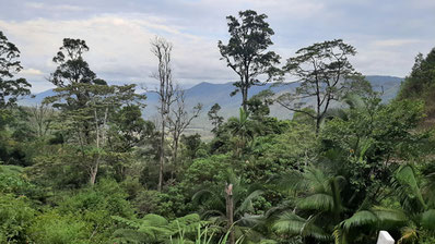 begleitete Wohnmobilreisen Australien