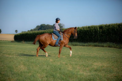 Foto: @ruesseltier_fototgrafie