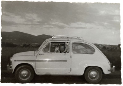 zwei weiße Kleinspitze Auto vintage Persönlichkeit Wesen Charakter