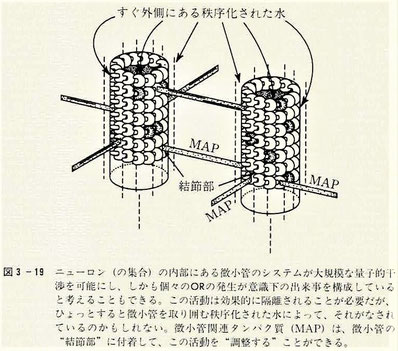 微小管のシステムが大規模な量子的干渉を可能にする？